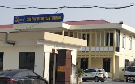 Xử phạt nhiều doanh nghiệp ở Thanh Hóa do vi phạm về môi trường