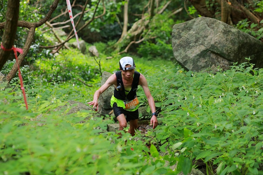 Giải chạy Minh Đạm Mountain Run Challenge 2023: “Chạy trong hơi thở núi rừng”