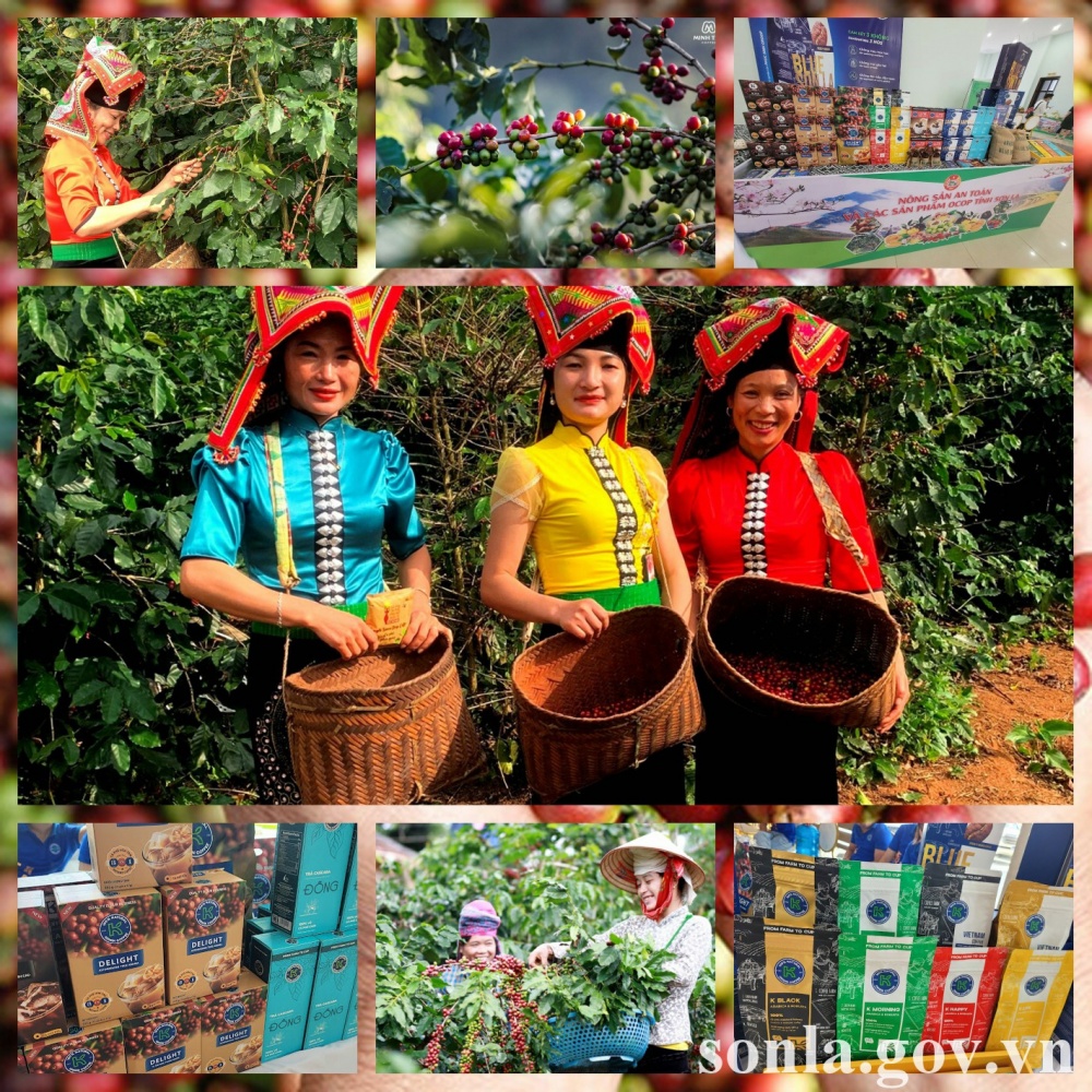 Trải nghiệm khám phá tour du lịch Cà phê Trải nghiệm khám phá tour du lịch Cà phê