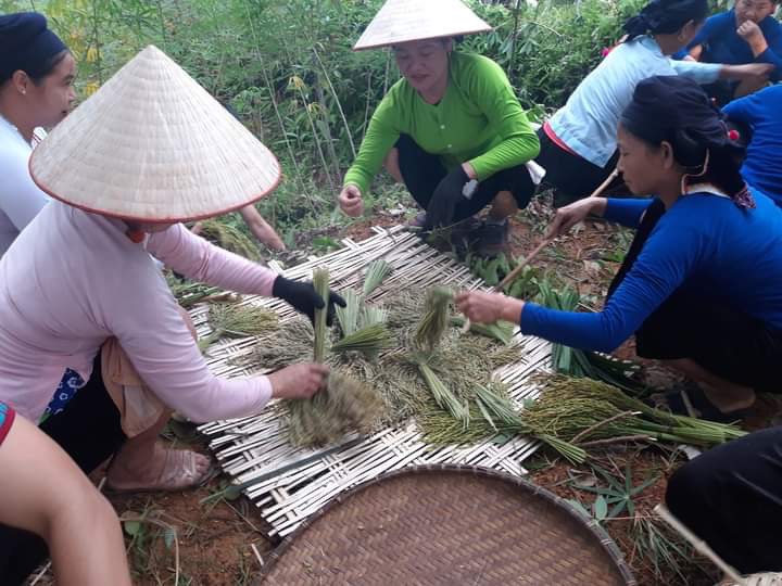 Lễ hội Cốm Dương Quỳ với chủ đề “Sắc vàng hương cốm”