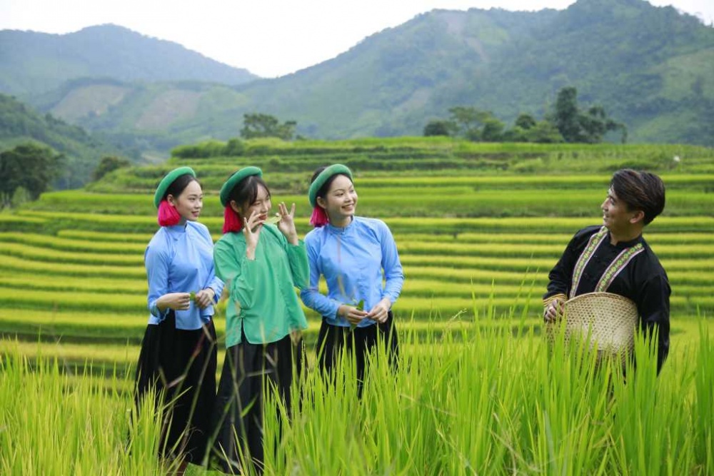 Về với “Mùa vàng miền Soóng Cọ” xã Đại Dực Về với “Mùa vàng miền Soóng Cọ” xã Đại Dực