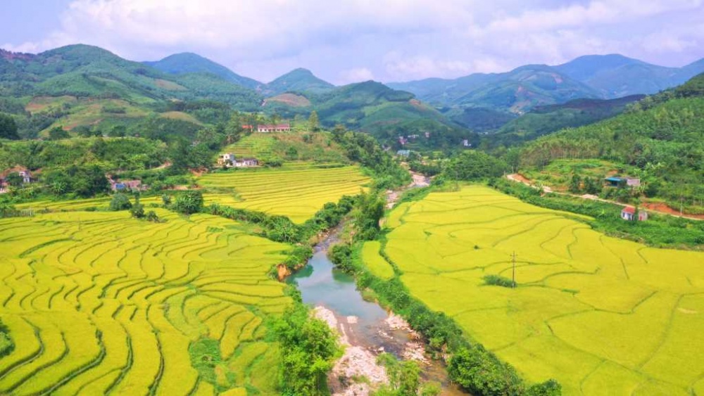 Về với “Mùa vàng miền Soóng Cọ” xã Đại Dực Về với “Mùa vàng miền Soóng Cọ” xã Đại Dực