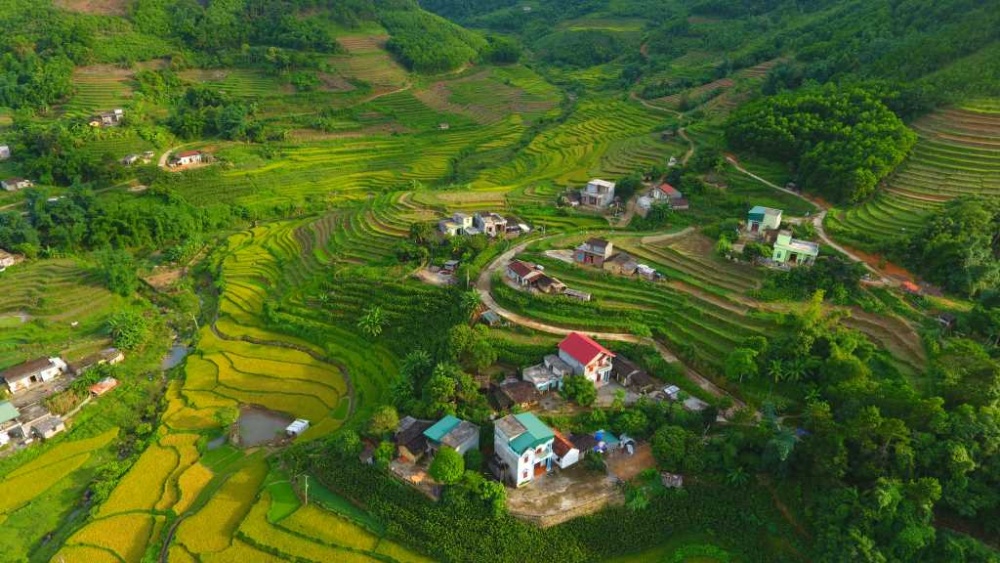 Về với “Mùa vàng miền Soóng Cọ” xã Đại Dực Về với “Mùa vàng miền Soóng Cọ” xã Đại Dực