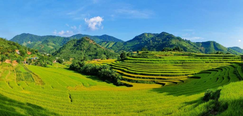 Về với “Mùa vàng miền Soóng Cọ” xã Đại Dực Về với “Mùa vàng miền Soóng Cọ” xã Đại Dực