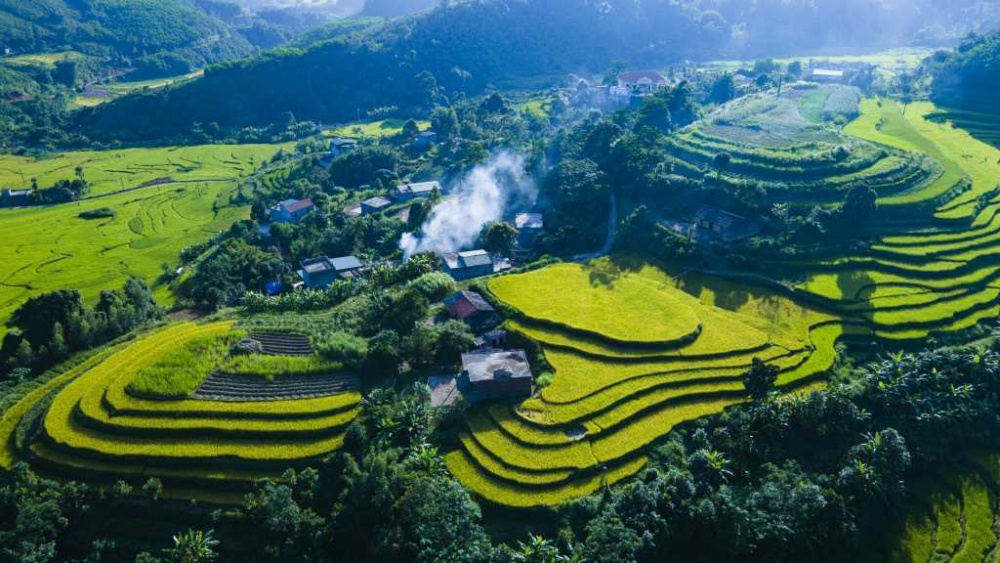 Về với “Mùa vàng miền Soóng Cọ” xã Đại Dực Về với “Mùa vàng miền Soóng Cọ” xã Đại Dực