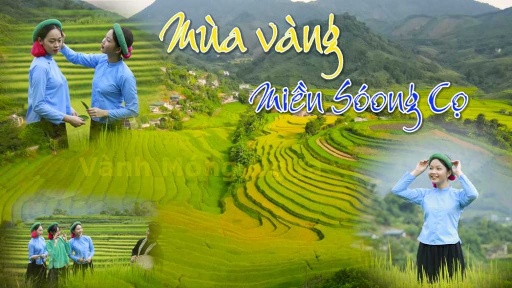 Về với “Mùa vàng miền Soóng Cọ” xã Đại Dực Về với “Mùa vàng miền Soóng Cọ” xã Đại Dực