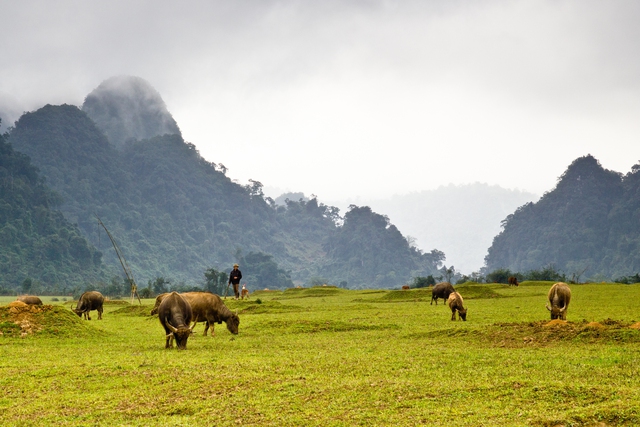 Tân Hóa (Quảng Bình)   Một trong những làng du lịch tốt nhất thế giới
