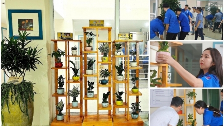 Tuổi trẻ PTSC vì một môi trường “Xanh - Sạch - Đẹp” tại Ban Dự án CHW2204