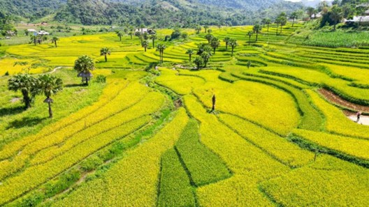 Đồng Hỷ (Thái Nguyên): Tiềm năng du lịch cần được khơi dậy và phát huy