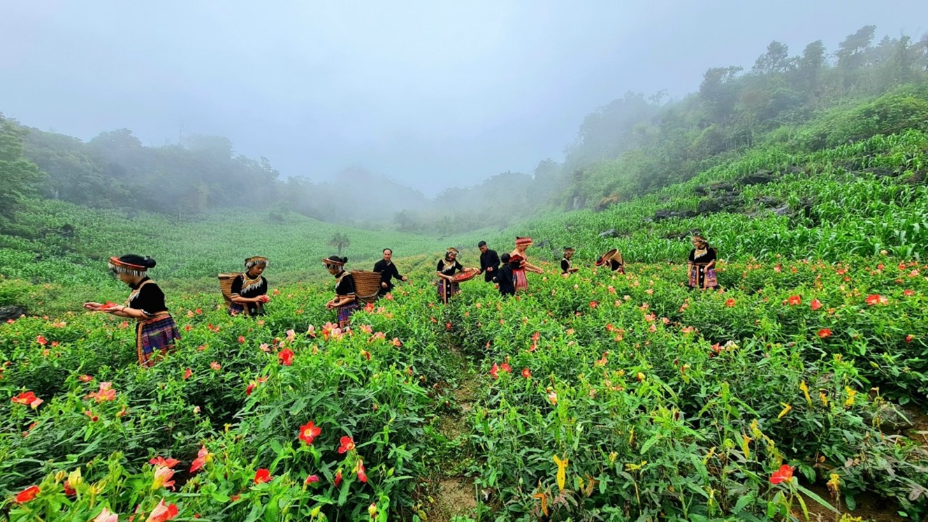 Đồng Hỷ (Thái Nguyên): Tiềm năng du lịch cần được khơi dậy và phát huy