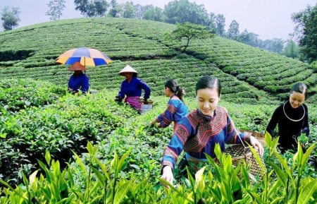 Bổ sung kế hoạch đầu tư vốn các chương trình mục tiêu quốc gia