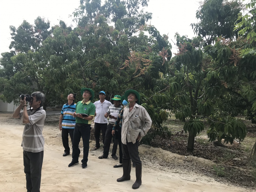 Tác phẩm dự thi 