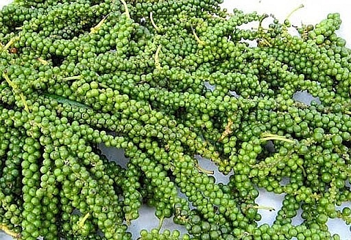Giá tiêu hôm nay 1/11: Duy trì ổn định