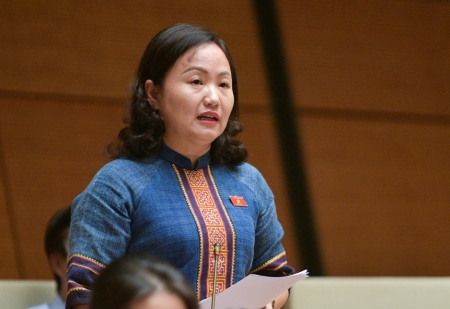 Đại biểu Quốc hội đề nghị sớm nghiên cứu xây dựng Luật Năng lượng tái tạo