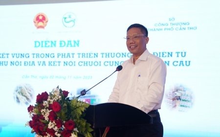 Phát triển thương mại điện tử tại Cần Thơ và Đồng bằng sông Cửu Long