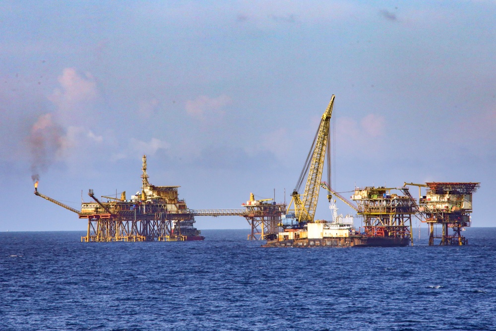 09-VHQT-AD-0082: Ngày nhộn nhịp.