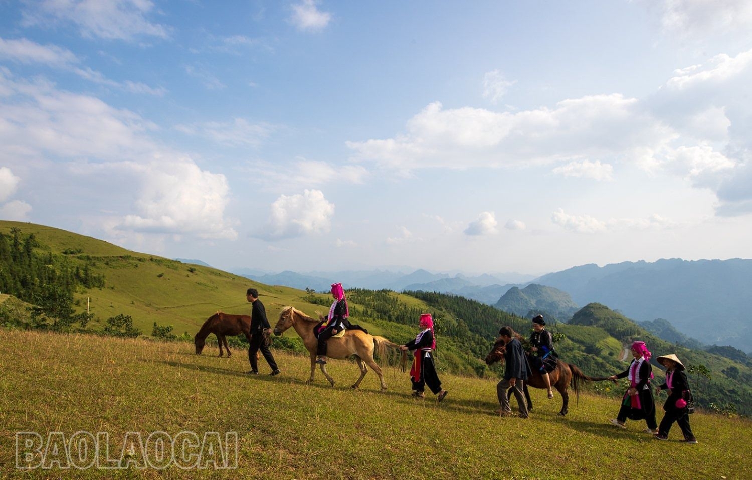 Ngất ngây vẻ đẹp của thảo nguyên Cốc Sâm