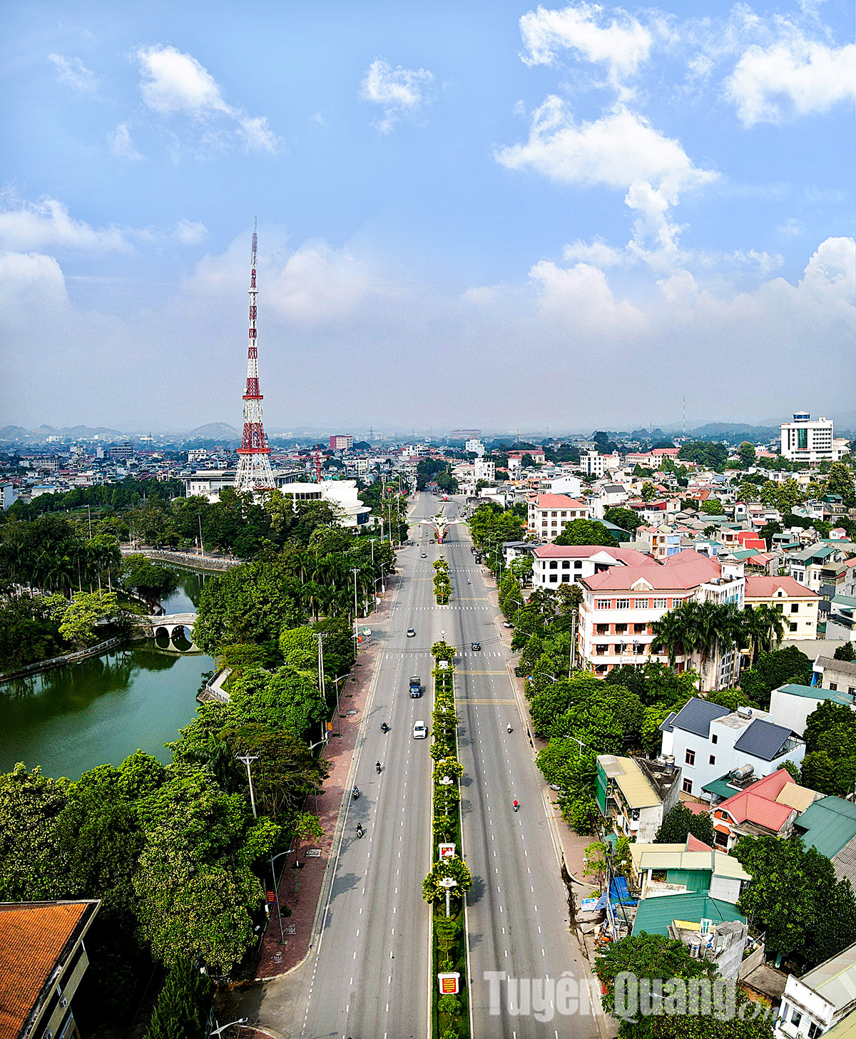 Rực rỡ sắc hoa chuông vàng giữa lòng thành phố Rực rỡ sắc hoa chuông vàng giữa lòng thành phố