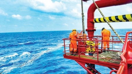 Kỳ 4: Thủy thủ giỏi không trưởng thành từ vùng biển lặng