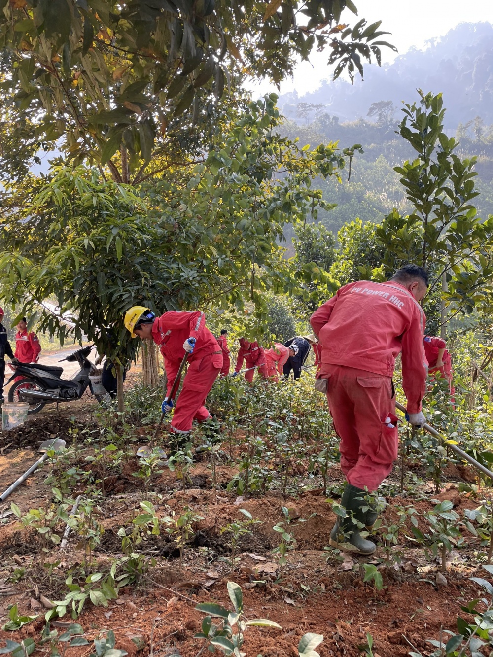 Tác phẩm dự thi 