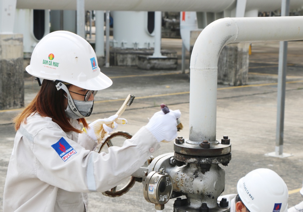 Tác phẩm dự thi 