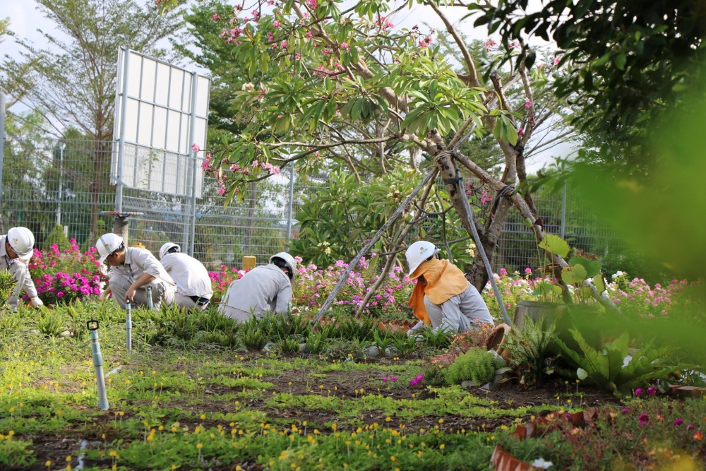 Tác phẩm dự thi 