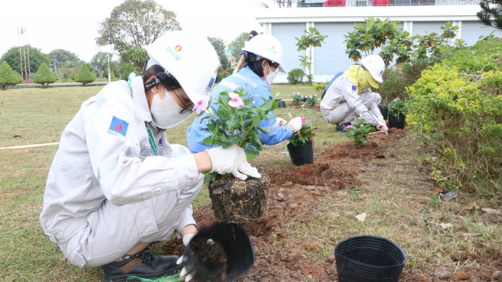 Tác phẩm dự thi 