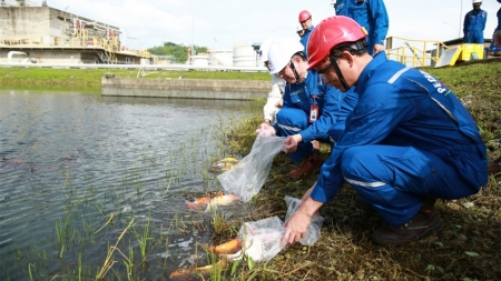 Đoàn Thanh niên BSR triển khai công trình “Cải tạo cảnh quang môi trường tại phân xưởng xử lý nước thải của Nhà máy Lọc dầu Dung Quất”