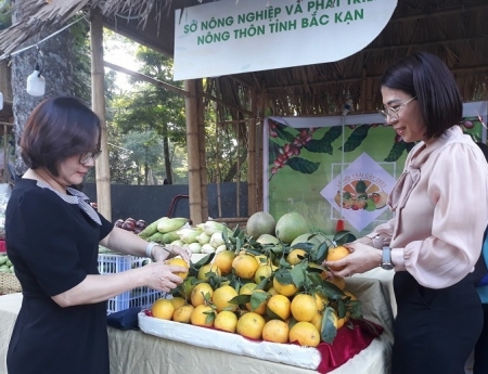 Lễ hội trái cây thành phố Hà Nội: Người tiêu dùng được lựa chọn các sản phẩm an toàn