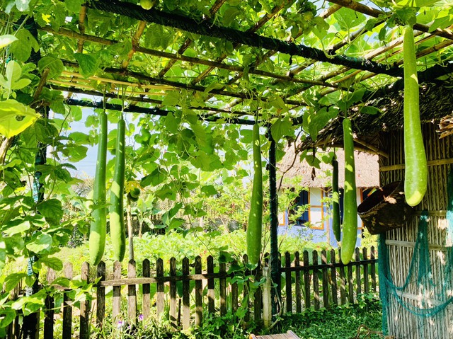 Quảng Nam phát triển du lịch xanh gắn với trách nhiệm cộng đồng