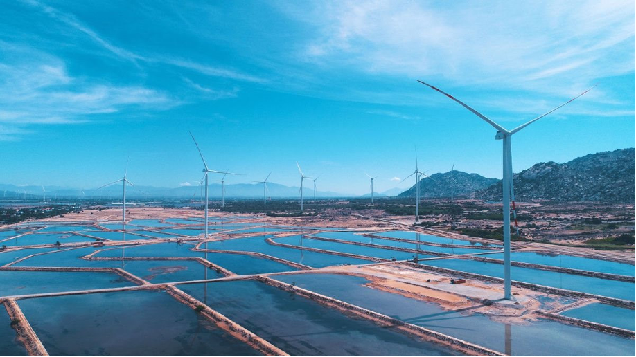 BIM Group hiện thực hóa “sứ mệnh xanh”