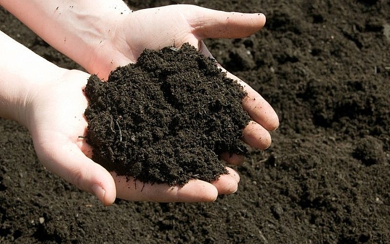 Giá phân bón hôm nay 14/11: Giao dịch cầm chừng