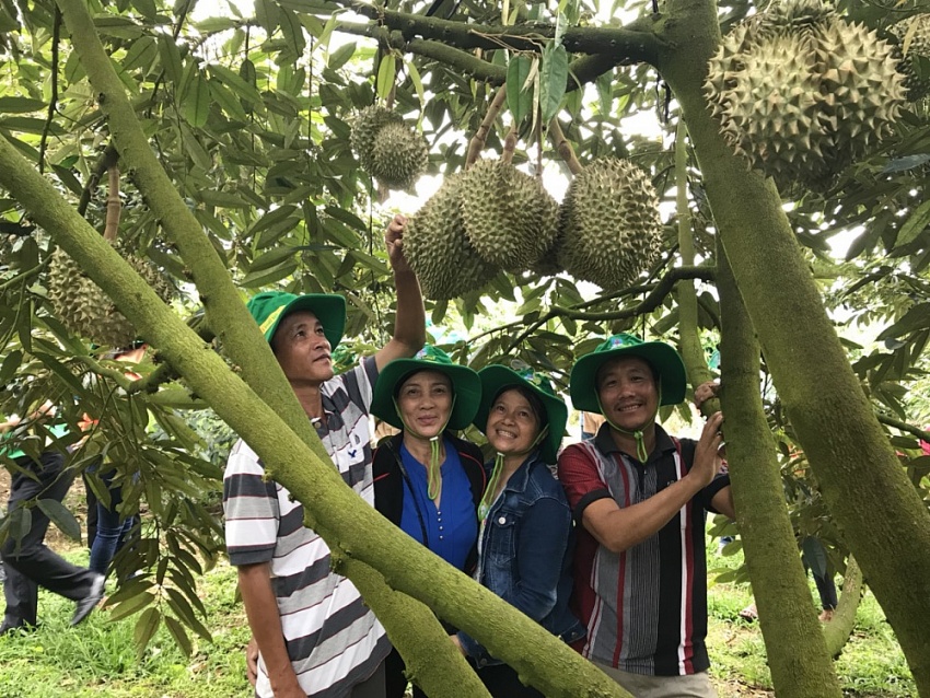 Chuyện kinh doanh NPK Phú Mỹ: Tận tâm với ruộng vườn, bà con nông dân