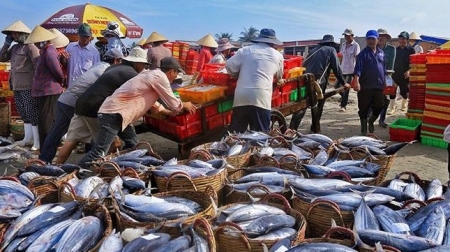 Một số nhiệm vụ cấp bách, khó khăn cần tháo gỡ trong lĩnh vực thủy sản và lâm nghiệp