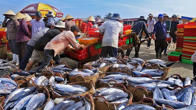 Một số nhiệm vụ cấp bách, khó khăn cần tháo gỡ trong lĩnh vực thủy sản và lâm nghiệp