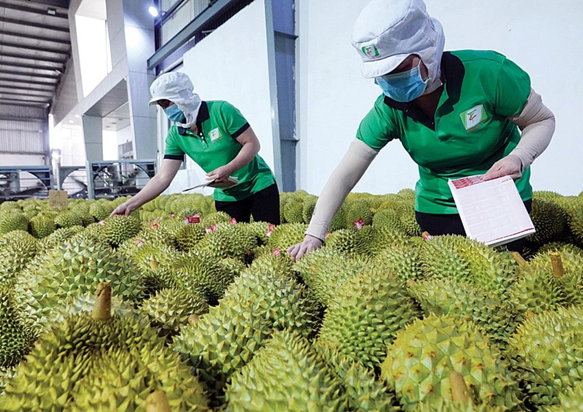 Tháo gỡ các điểm nghẽn tăng trưởng