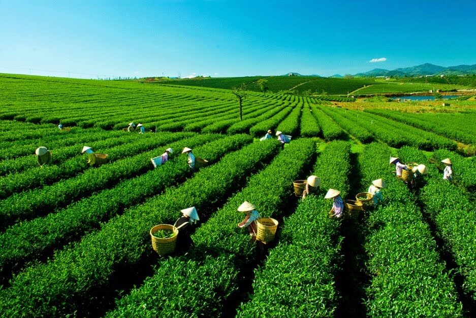 Du lịch Thái Nguyên - Khám phá và trải nghiệm