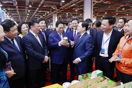 Thúc đẩy liên kết kinh tế trong quy hoạch phát triển vùng