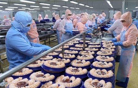 Giải pháp tín dụng và nguồn tài chính hỗ trợ doanh nghiệp tận dụng FTA