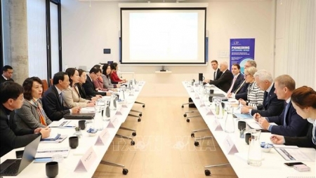 Phó Chủ tịch nước Võ Thị Ánh Xuân thăm Tập đoàn Copenhegen Infrastructure Partners
