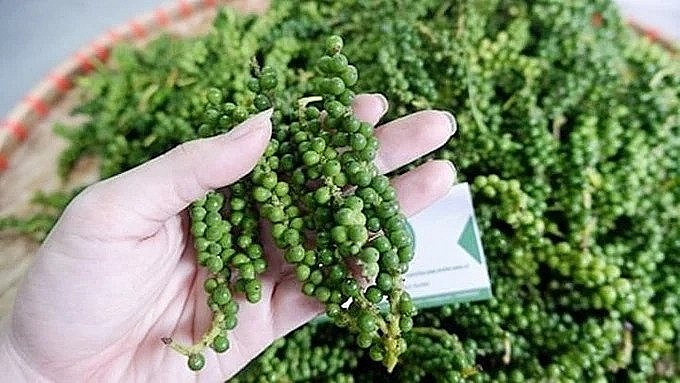 Giá tiêu hôm nay 23/11: Tiếp tục tăng