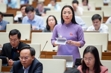 Đại biểu lo ngại doanh nghiệp lợi dụng lý do khó khăn để trốn đóng BHXH