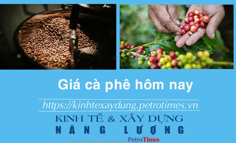 Giá cà phê hôm nay 26/11: Thị trường trong nước tiếp tục tăng