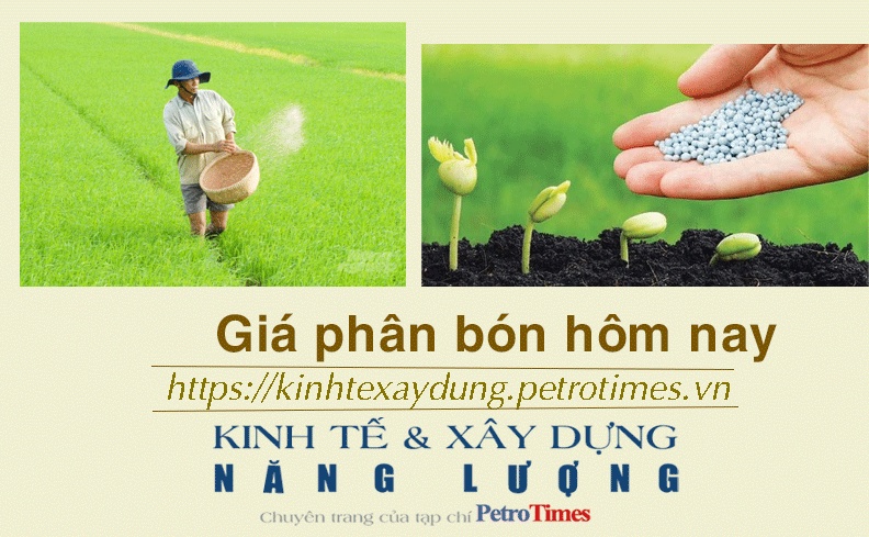 Giá phân bón hôm nay 26/11: Giao dịch trầm lắng
