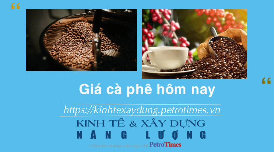 Giá cà phê hôm nay 27/11: Giá cà phê trong nước cao nhất ở mức 58.700 đồng