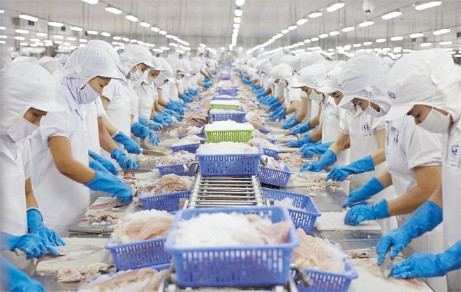 Xuất khẩu thủy sản chưa thể bứt phá trong những tháng tới