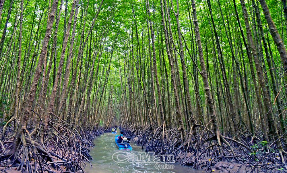 Nền tảng cho du lịch Cà Mau phát triển xứng tầm Nền tảng cho du lịch Cà Mau phát triển xứng tầm