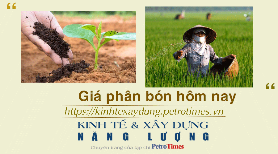 Giá phân bón 28/11: DAP Tường Phong giảm
