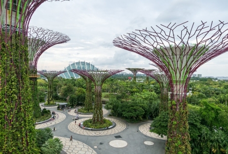 5 lý do giúp người dân Singapore sống thọ hàng đầu thế giới