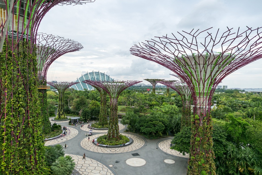 5 lý do giúp người dân Singapore sống thọ hàng đầu thế giới - 3